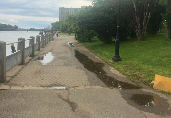 In Perspective: RIOC Waters the Promenade, Cuts Off Cat Sanctuary West Promenade daily flooding by RIOC, still standing at 3:00 p.m., 8 hours later...